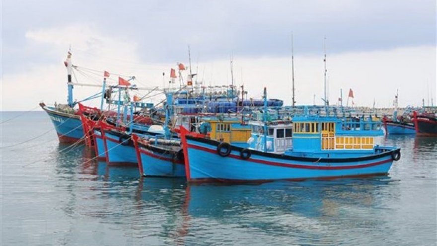 South-central coastal provinces work hard to combat illegal fishing